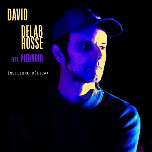 David Delabrosse, Equilibre Délicat